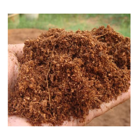 Premium Organic –Cocopeat Eco Soil Alternative