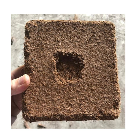 Premium Organic –Cocopeat Eco Soil Alternative