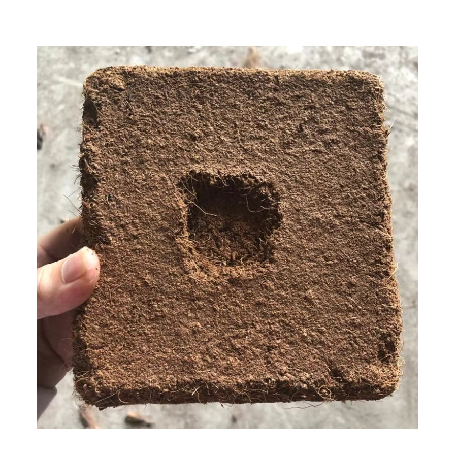 Premium Organic –Cocopeat Eco Soil Alternative