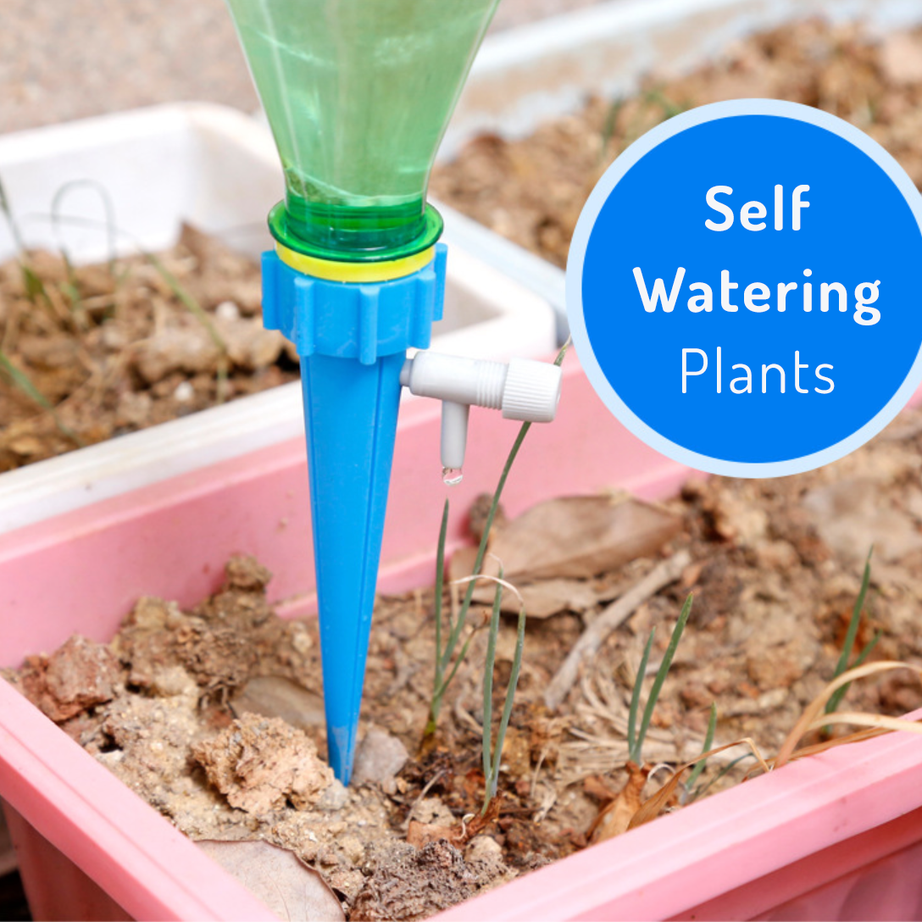 Automatic plant water dripping spikes